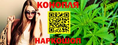 гашик Кунгур