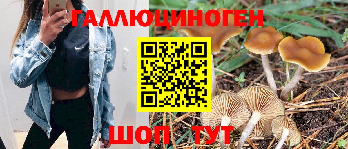 Гашиш Дедовск