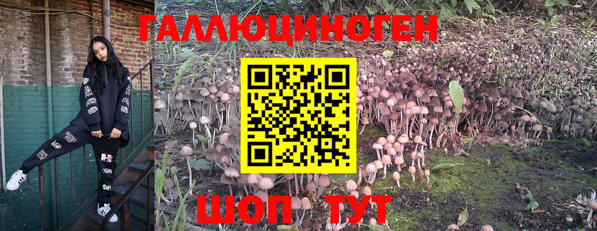 Галлюциногенные грибы Magic Shrooms  Вход с VPN  Дедовск  Галлюциногенные грибы мухоморы 