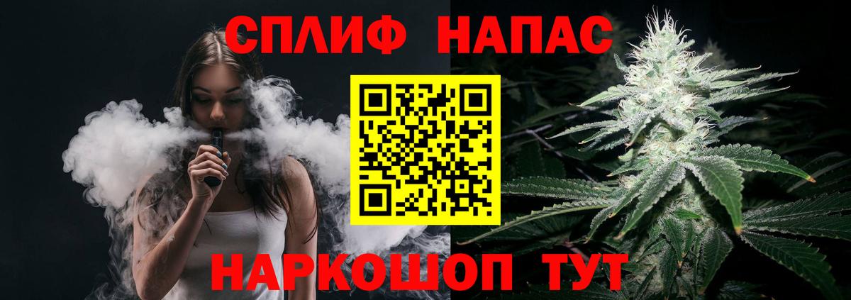 Конопля планчик Дедовск